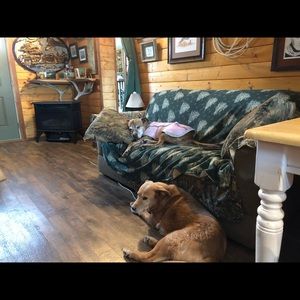 Meet your Posher, Diane